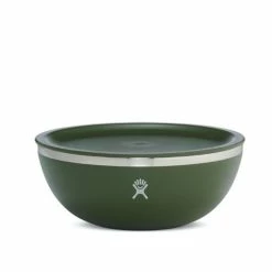 Best reviews of ⭐ Hydro Flask 1 Qt. Bowl With Lid 🤩