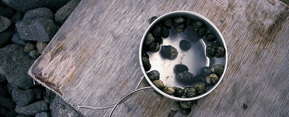 New β Snow Peak Titanium Multi-Compact Cookset π― 2 New β Snow Peak Titanium Multi-Compact Cookset π― - Image 2